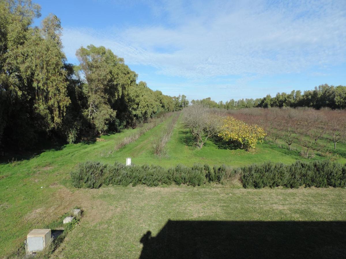 Agriturismo I Doni Del Mandorlo アルゲーロ エクステリア 写真