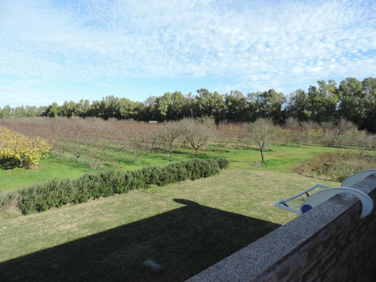 Agriturismo I Doni Del Mandorlo アルゲーロ エクステリア 写真