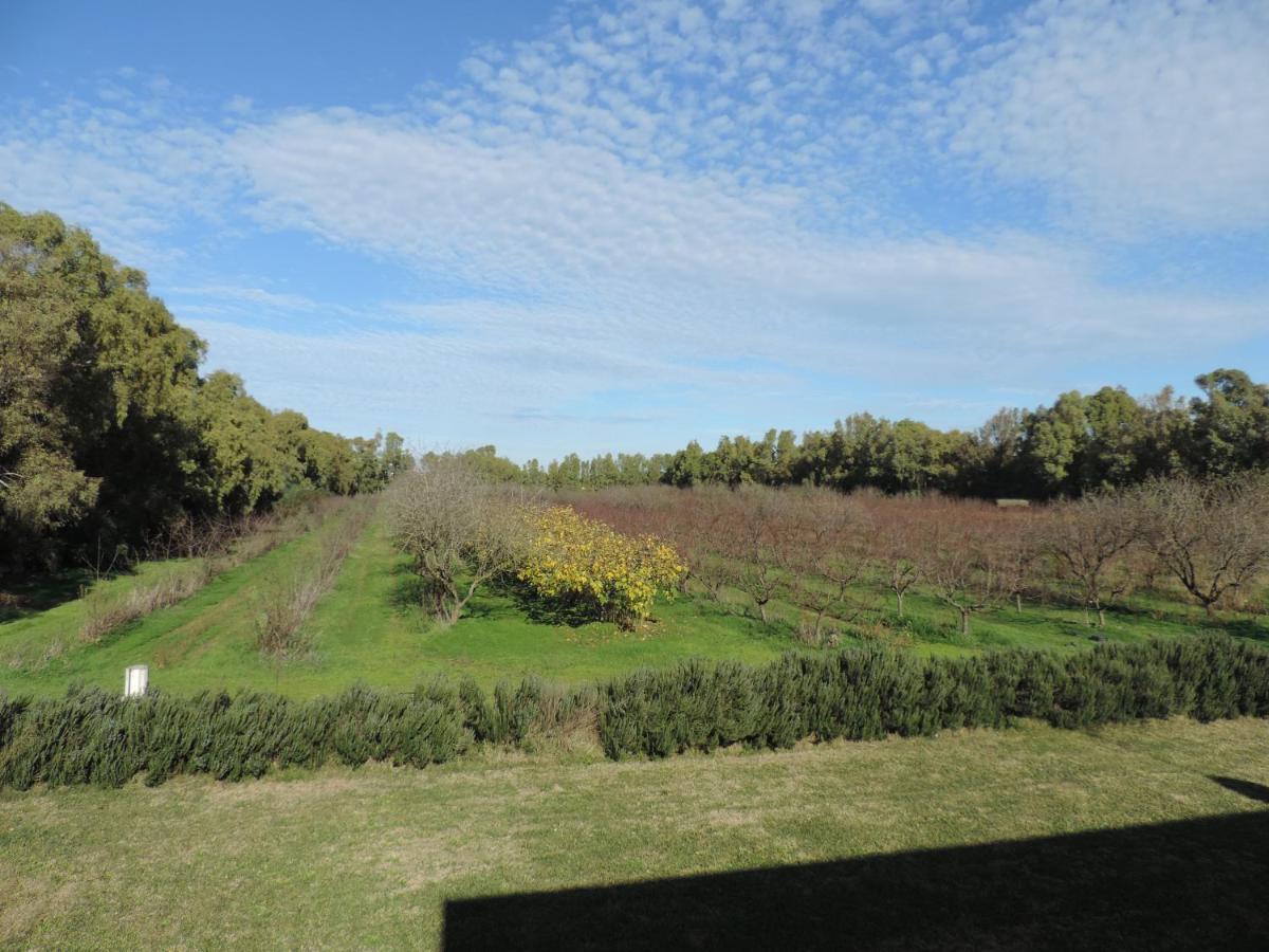 Agriturismo I Doni Del Mandorlo アルゲーロ エクステリア 写真